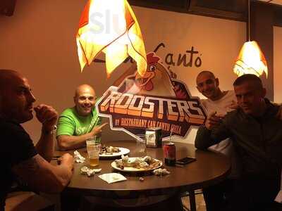 Roosters Ibiza