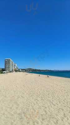 Bar Restaurant, Camping Vall D'or