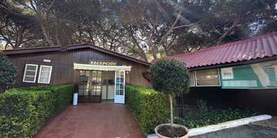 Bar Restaurant, Camping Vall D'or