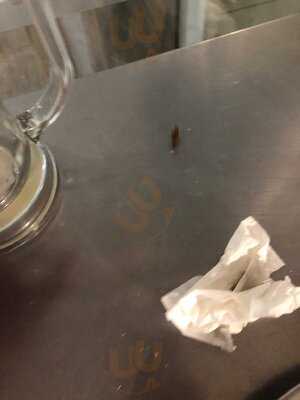 Mercado De La Surena