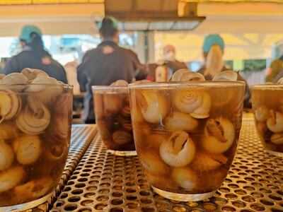 Caracoles Cruz De Juarez