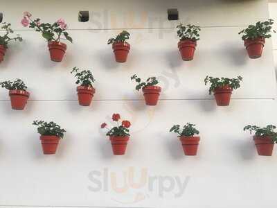 Las Flores, Restobar Cordobés