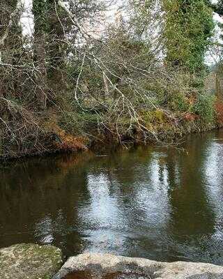 Anticapizza Santiago