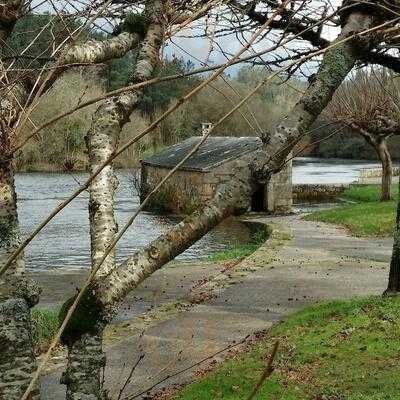 Anticapizza Santiago