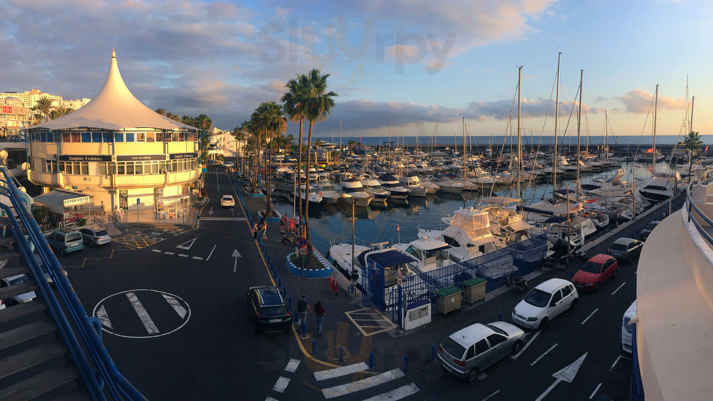 South Beach Cocktail Bar