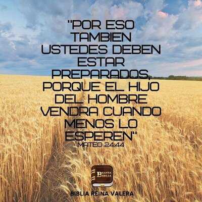 Retaurante Gran Canaria