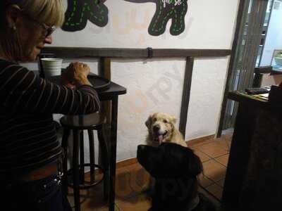 Can Patas Jamonerías