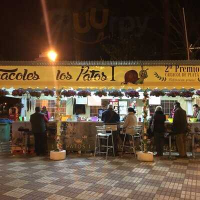 Caracoles Los Patos I