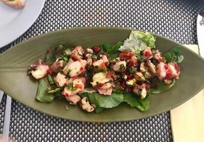 Square Cocktail&tapas