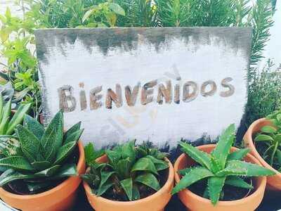 Xiringuito Mediterrani