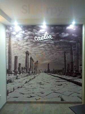 Caelia Cafe & Bar