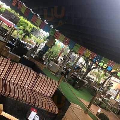 Señor Frogs Tenerife