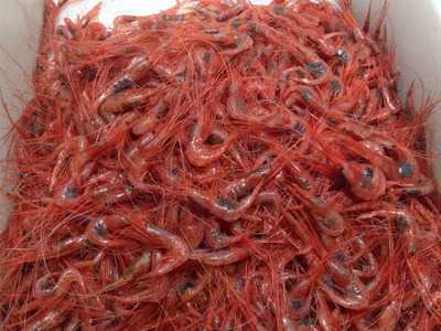 Cafeteria El Turpial