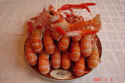 Carpe Diem El Puerto