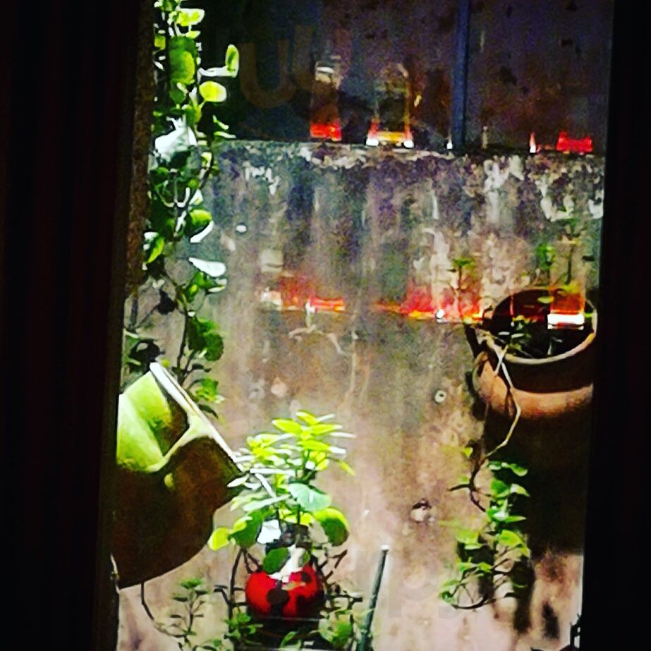 La Rosa Negra, Café-bar