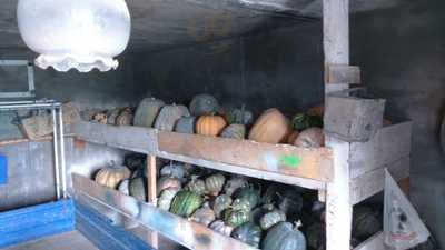 Restaurante Stop Icod