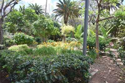 Del Norte A Canarias