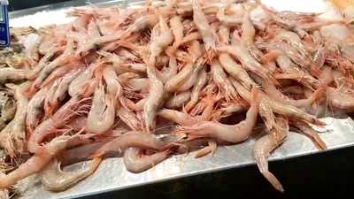 La Mar De Gambas Vial Norte