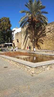 Mesón Puerta De Almodóvar