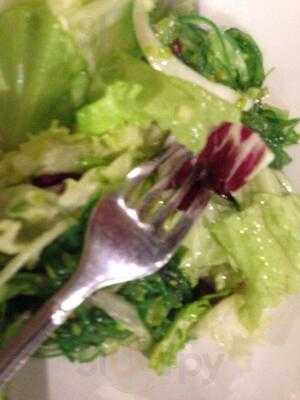 Zen Fusion Restaurante