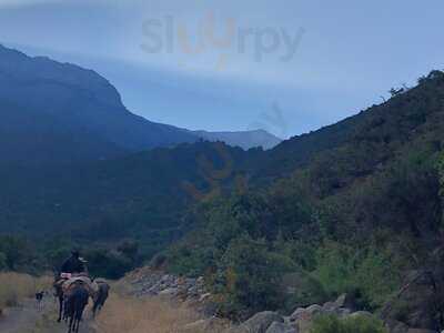 Punta Negra Investments Sl.