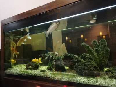 Restaurante Chino Oriental