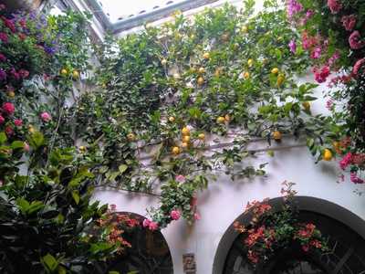 Restaurante Don Luis