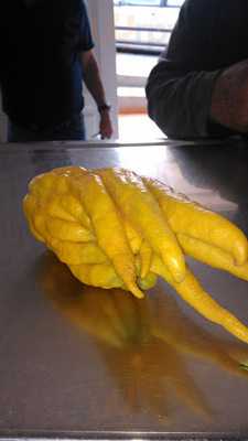 Cafeteria Pizzeria La Paz