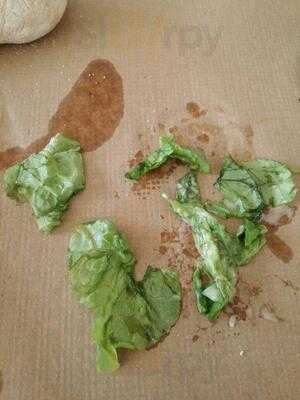 Nacion Pizza Y Pasta