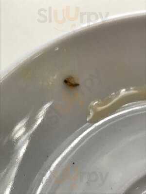 Cafeteria Parque Garcia Sanabria