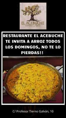 El Acebuche