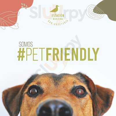 Bar Cafeteria Estacion Maritima