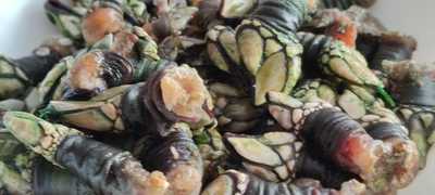 Cafe Bar Llave De Oro