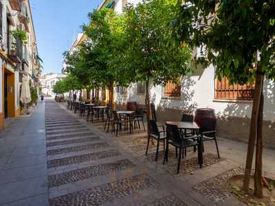 El Madrigal De Don Gonzalo