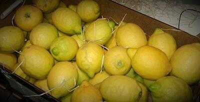 Heladería La Ibense