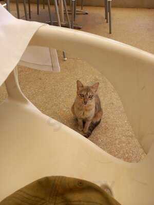 Restaurante Club Naútico Dos Mares