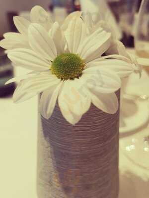 L´amagatall De Tota