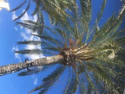 Yacht Club Cala D'or