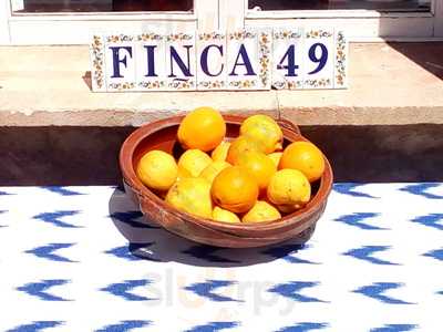Finca 49