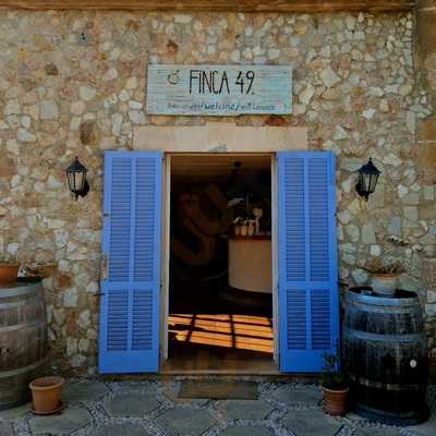Finca 49
