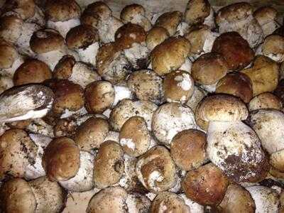 Baviera Jaca Cocina De Mercado