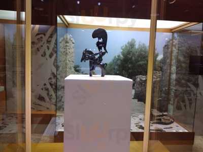 Pata Negra - La Bodega Ibérica