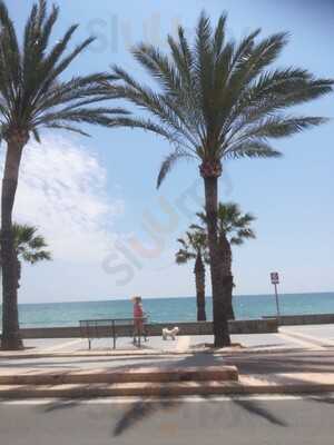 Pata Negra - La Bodega Ibérica