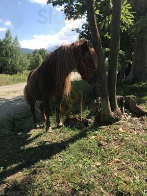 Restaurante Sant Marc