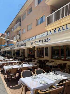 Restaurante MarisquerÍa La Gallega