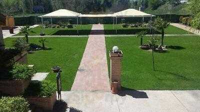 Los Girasoles De Lino