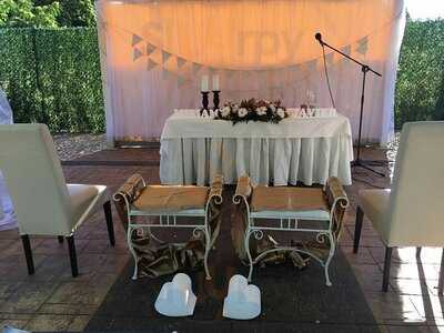 Los Girasoles De Lino