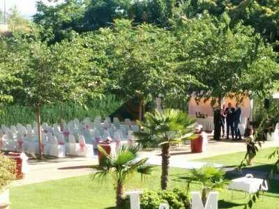 Los Girasoles De Lino