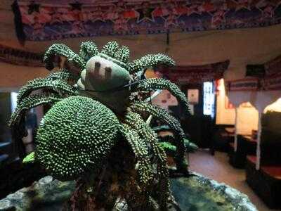 Pub La AraÑa - Photo 8