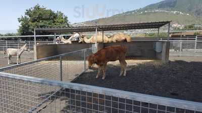 Restaurante Dula Y Pipa